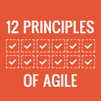 12 principles of agile